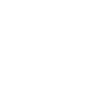 Data Analysts